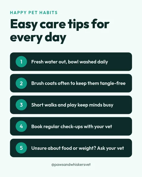 Pet Care Tips Cards – Instagram post template