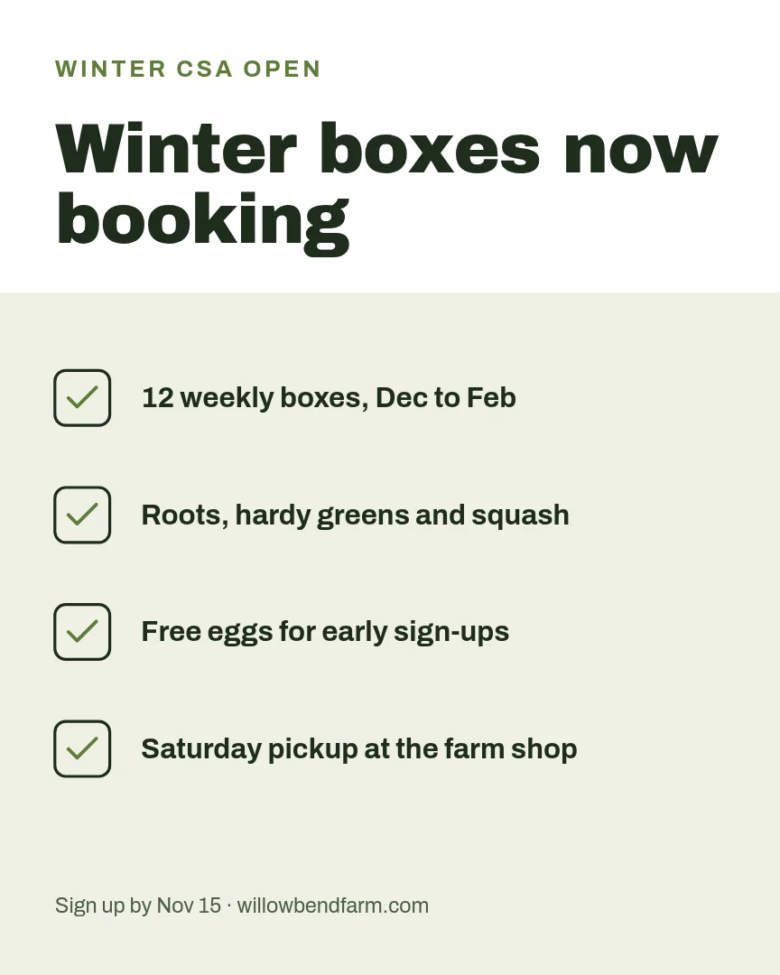 Winter Box Sign-Up Checklist – Instagram post template