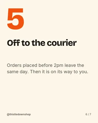 Behind the Parcel Carousel, page 6