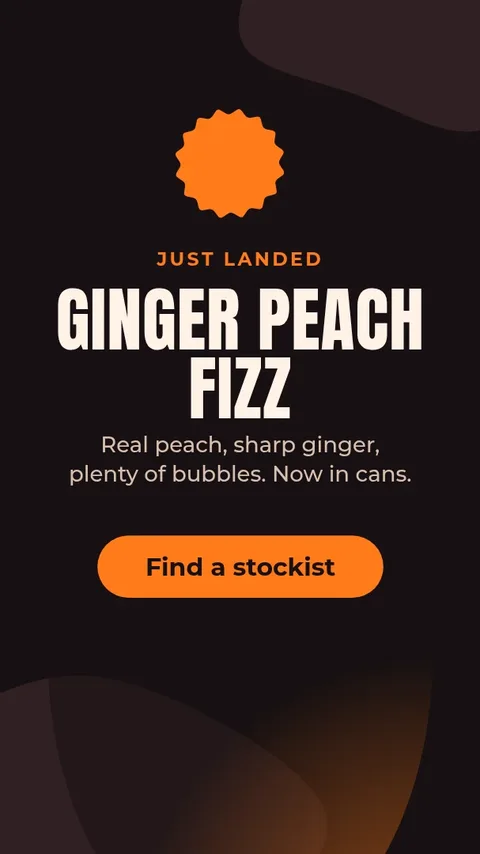 Fizz Launch Story – Instagram story template
