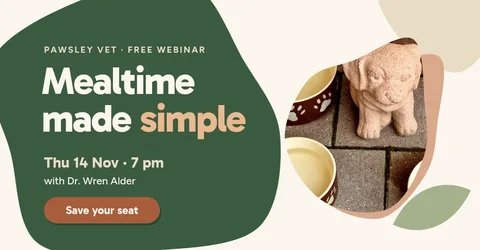 Mealtime Blob Webinar Ad – LinkedIn post template