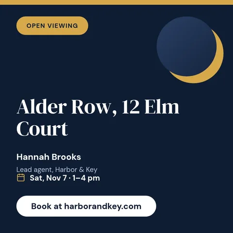 Open Viewing Afternoon Notice – Instagram post template