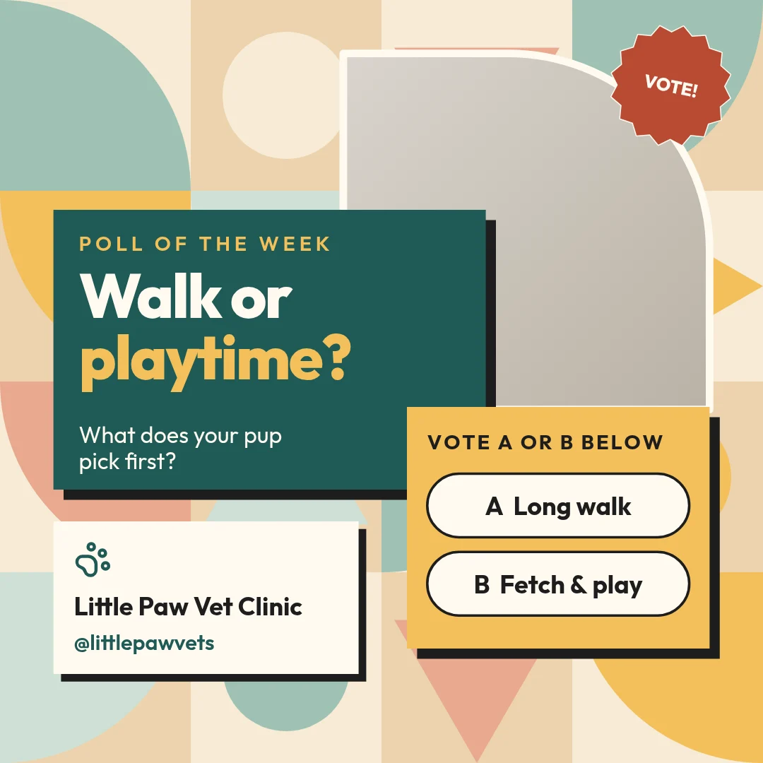 Quilt Cards Pet Poll – LinkedIn post template