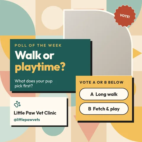 Quilt Cards Pet Poll – LinkedIn post template