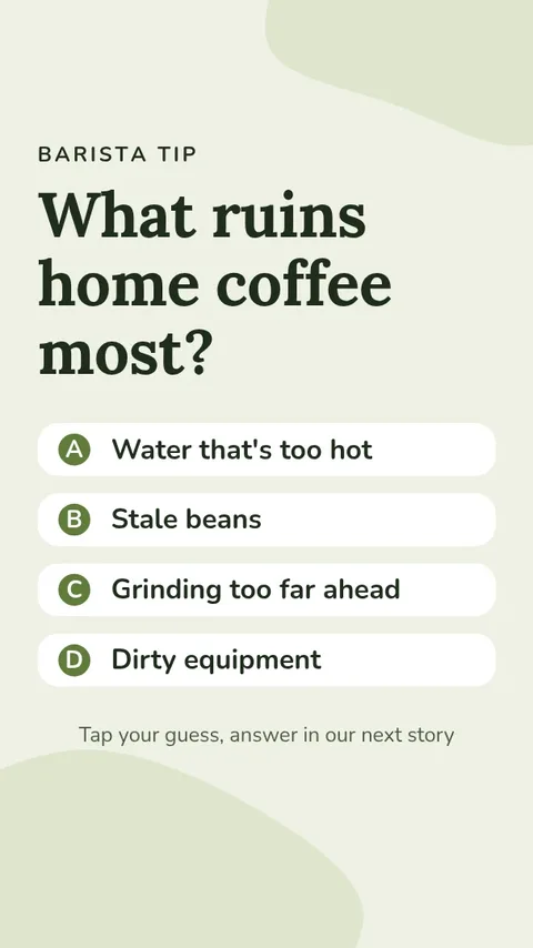 Barista Tips Story – Instagram story template