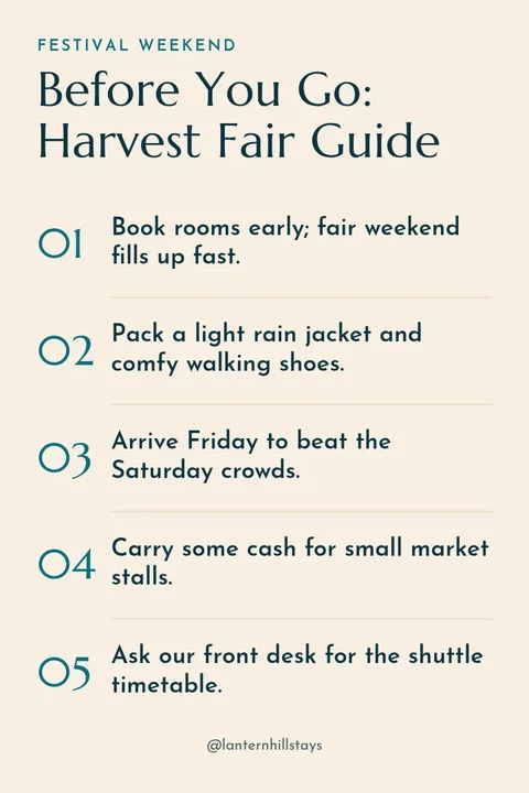 Festival Trip Prep Pin – Pinterest pin template