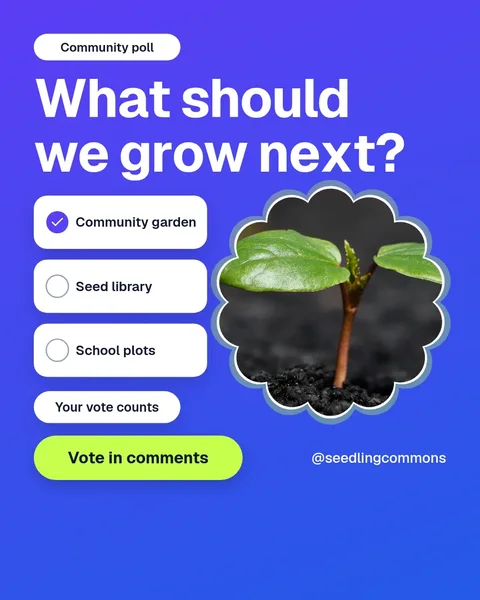 Seedling Poll Window – Instagram post template