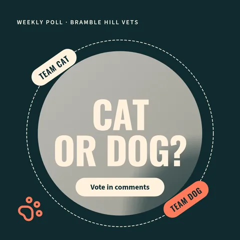 Duotone Pet Poll Orbit – Instagram post template
