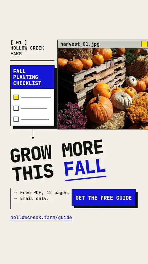 Harvest Window Checklist Z – Instagram story template