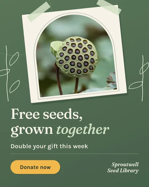 Taped Seed Card Garden Ad – Instagram post template