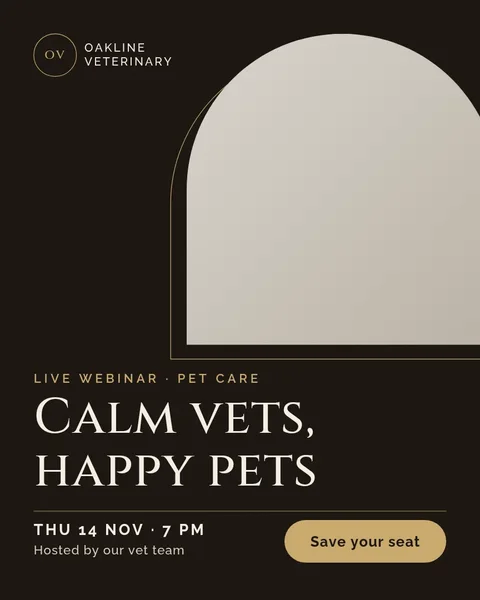 Espresso Arch Webinar Ad – Instagram post template