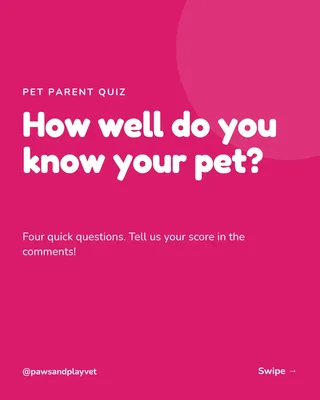 Pet Parent Pop Quiz, page 1