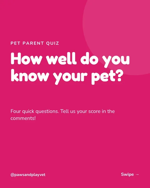Pet Parent Pop Quiz – Instagram carousel template, 6 pages