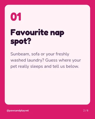 Pet Parent Pop Quiz, page 2