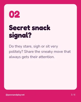Pet Parent Pop Quiz, page 3