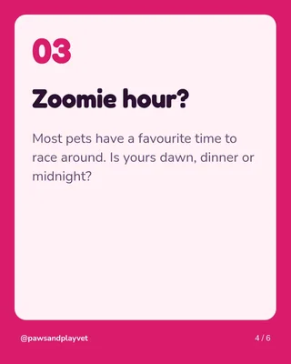 Pet Parent Pop Quiz, page 4