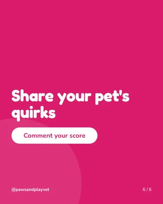Pet Parent Pop Quiz, page 6