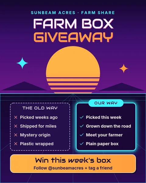 Sunbeam Harvest Face-Off – Instagram post template