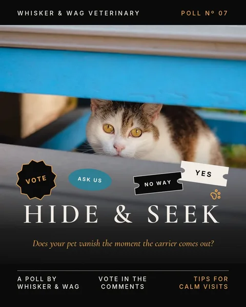 Hide And Seek Reel – Instagram post template