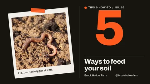Tilted Print Soil Numeral – X post template