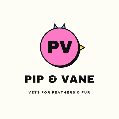 Pip Vane Bird Initials Logo – Logo template