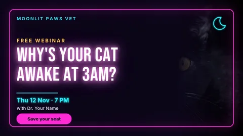 Night Owl Cat Neon – X post template