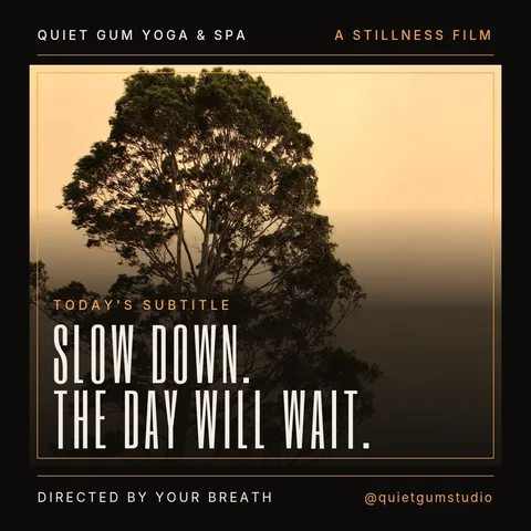 Letterbox Stillness Credits – Instagram post template