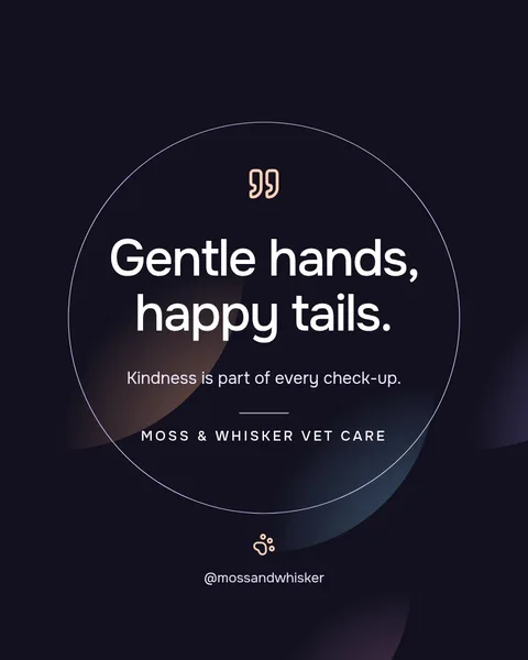Twilight Paw Aurora Quote – Instagram post template