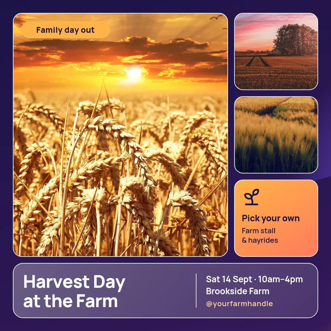 Harvest Glass Field Day – Instagram post template