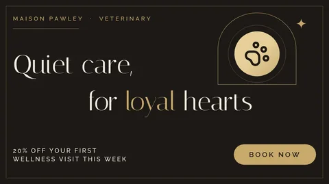 Gilt Medallion Arch Ad – X post template