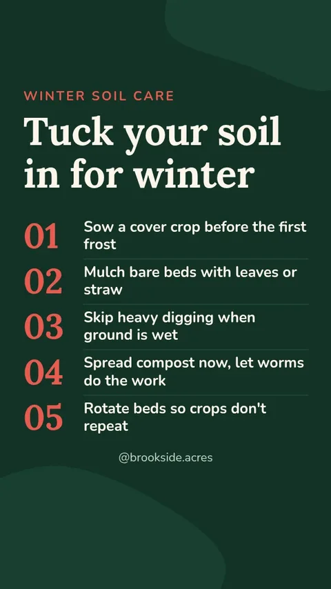 Soil Care Story Tips – Instagram story template