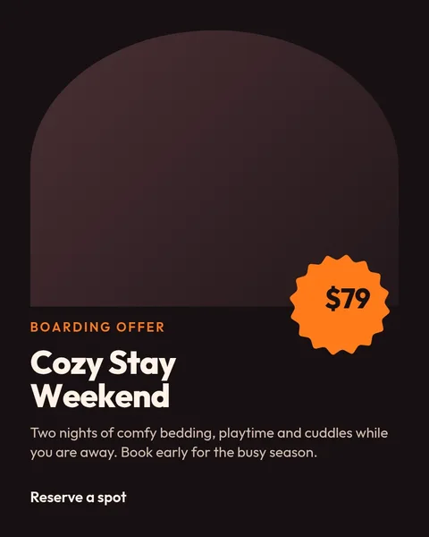 Boarding Weekend Offer – Instagram post template