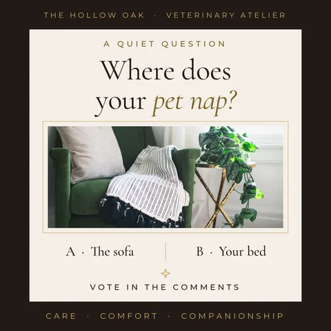 Hushed Nap Poll Frame – Instagram post template