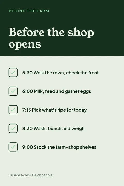Dawn Chores Walkthrough – Pinterest pin template