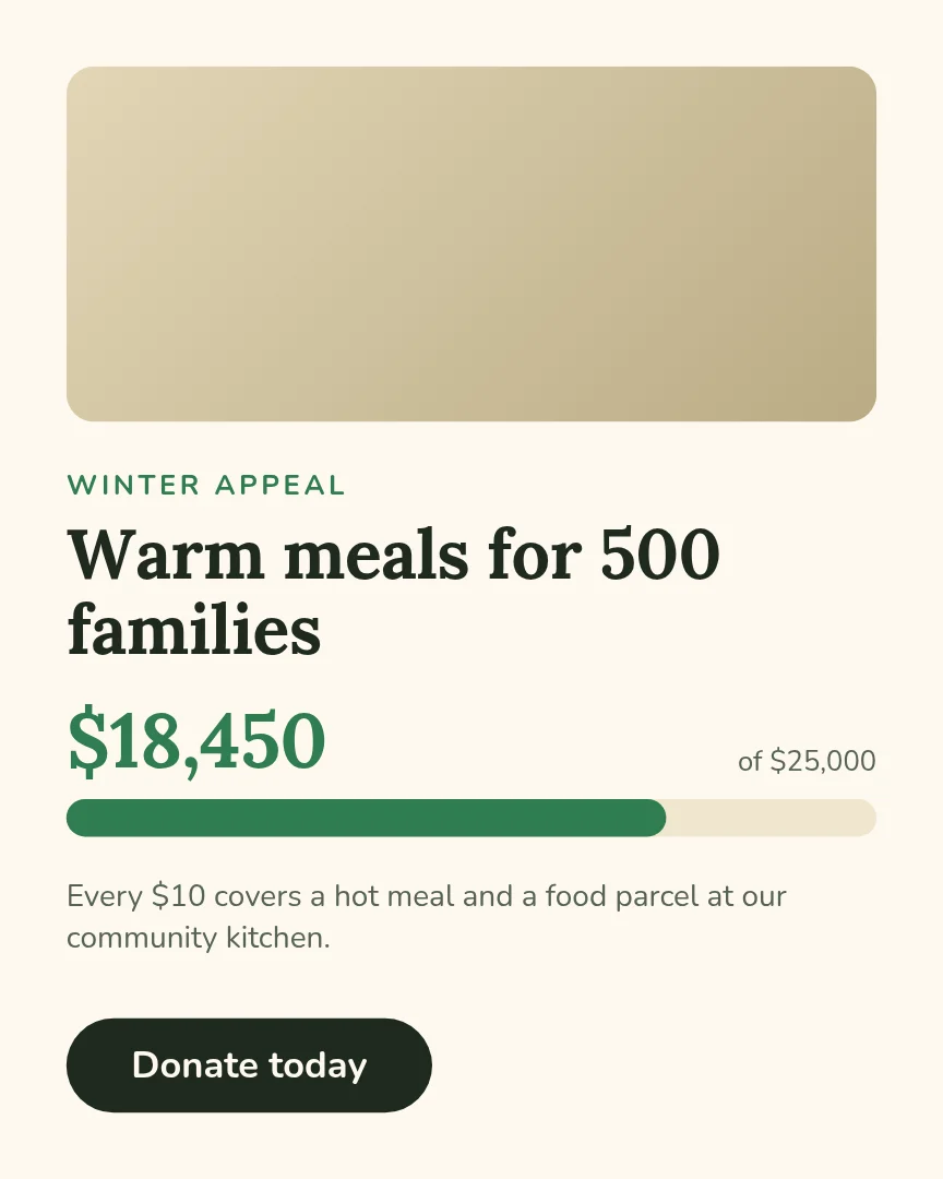 Fundraiser progress – Instagram post template