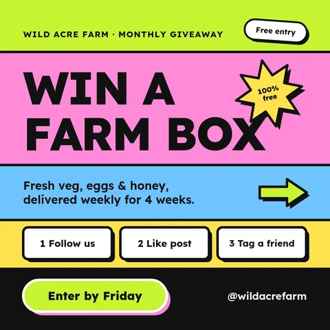 Harvest Box Band Stack – Instagram post template