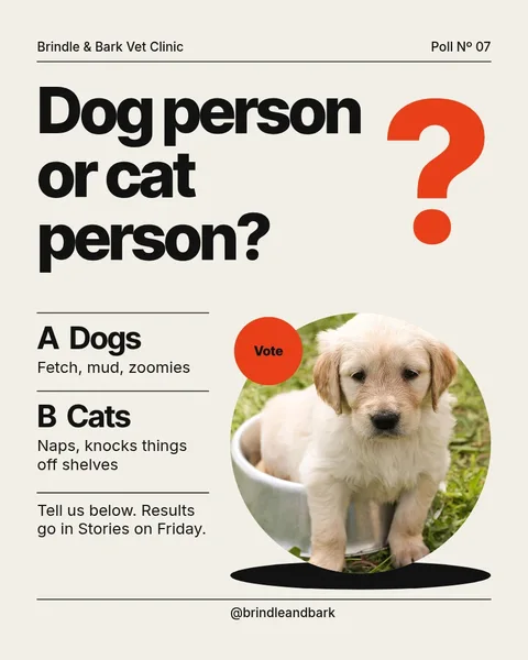Dog Or Cat Swiss Poll – Instagram post template