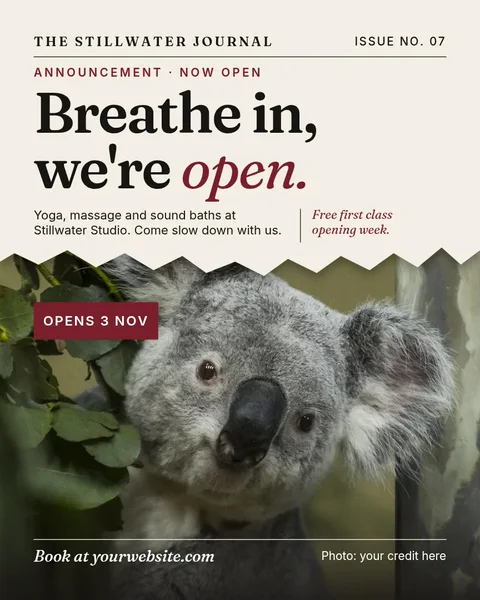 Torn Paper Koala Opening – Instagram post template