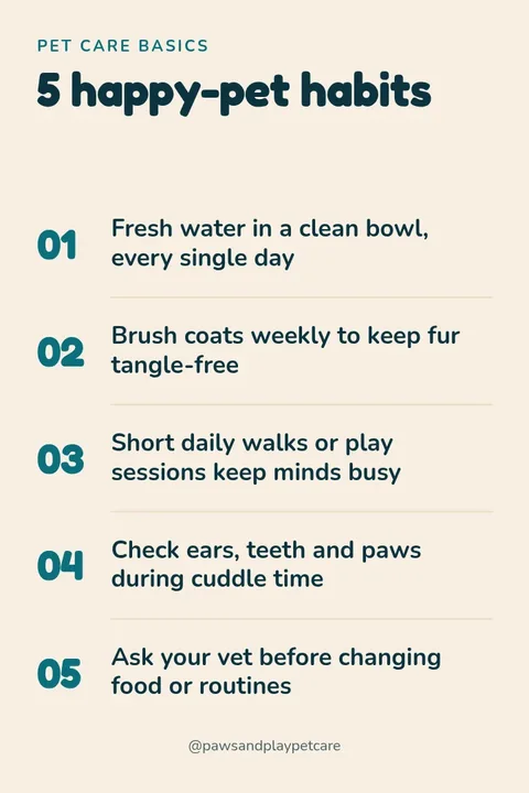 Paws Home Care Tips – Pinterest pin template