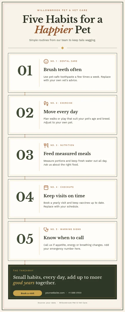 Willowbrook Gallery Care Steps – Infographic template