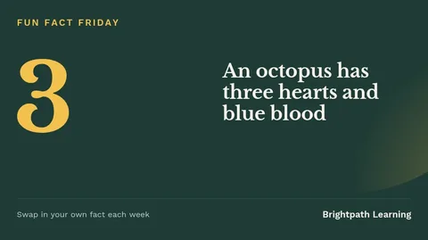 Fun fact Friday – X post template