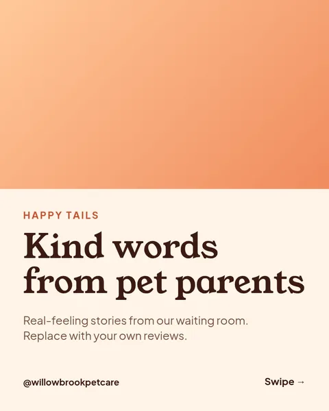 Happy Tails Reviews – Instagram carousel template, 6 pages