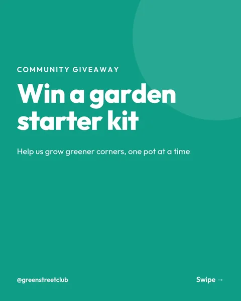 Mint Community Giveaway Carousel – Instagram carousel template, 6 pages
