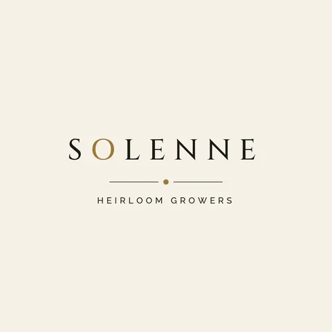 Solenne Gilded Dot Wordmark – Logo template