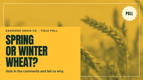 Duotone Field Poll Corner – X post template