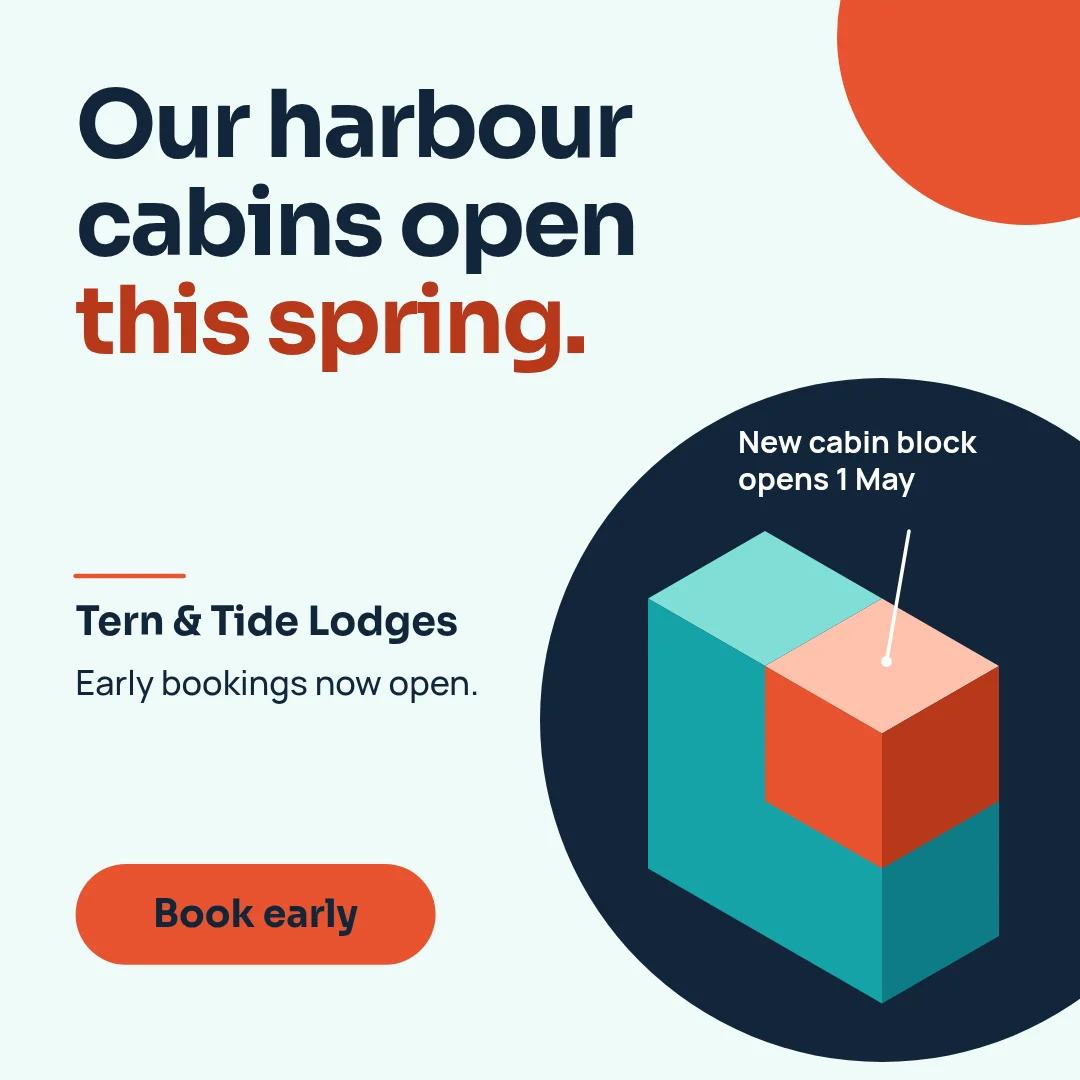 Harbour Cabin Cube Stack – LinkedIn post template