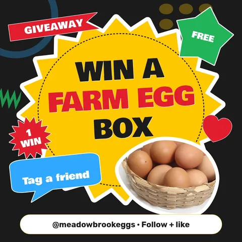 Egg Crate Sticker Burst – Instagram post template