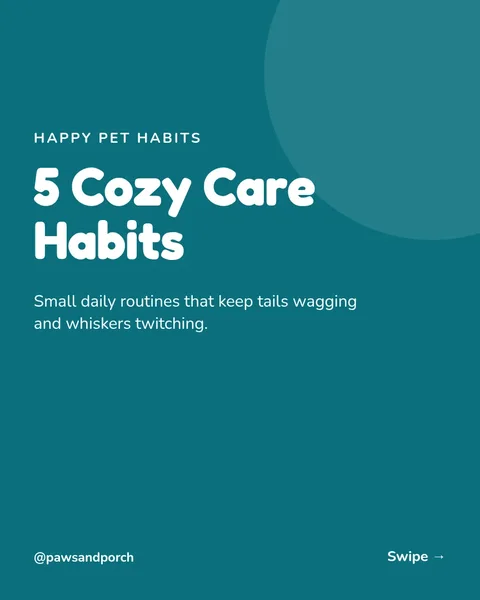 Paw Care Basics Carousel – Instagram carousel template, 7 pages