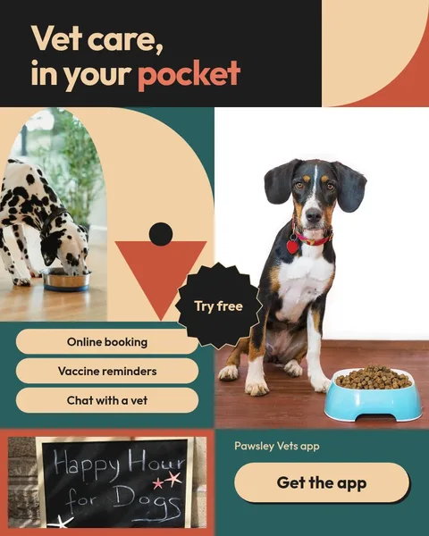 Pocket Vet Quilt Ad – Instagram post template