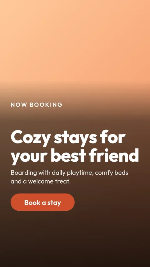 Boarding Weekend Promo – Instagram story template